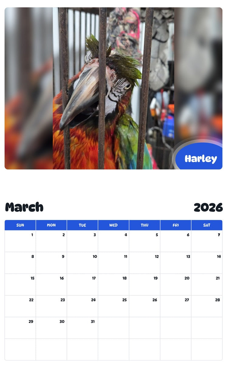 November 2025 - October 2026 Harley - Pawidols Pet Calendar