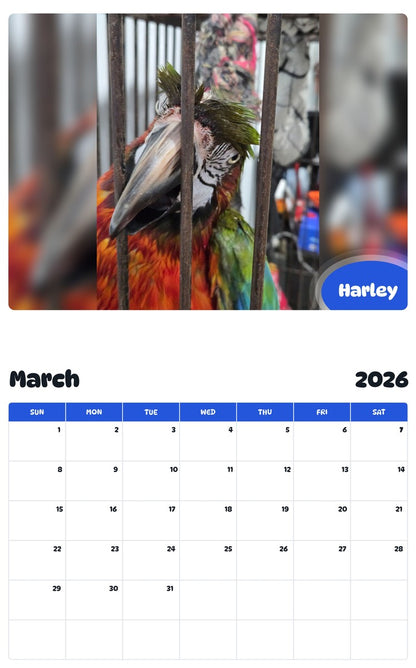 November 2025 - October 2026 Harley - Pawidols Pet Calendar