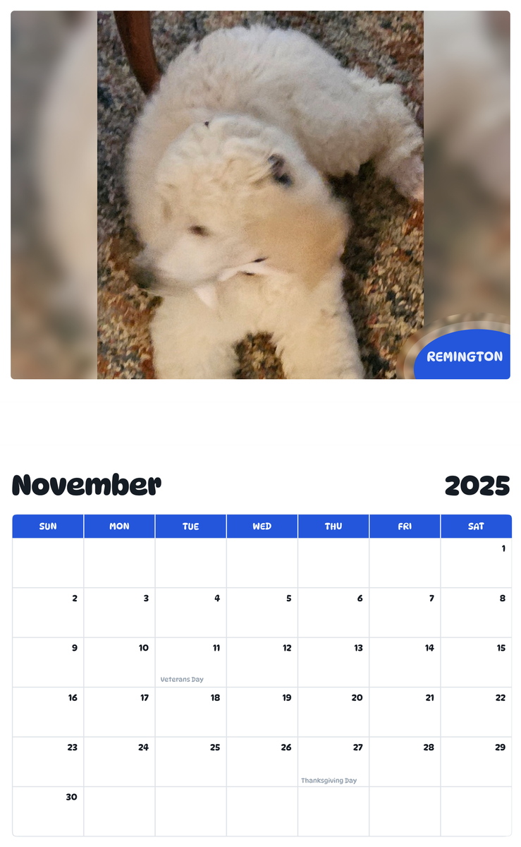 July 2025 - June 2026 Remington - Pawidols Pet Calendar