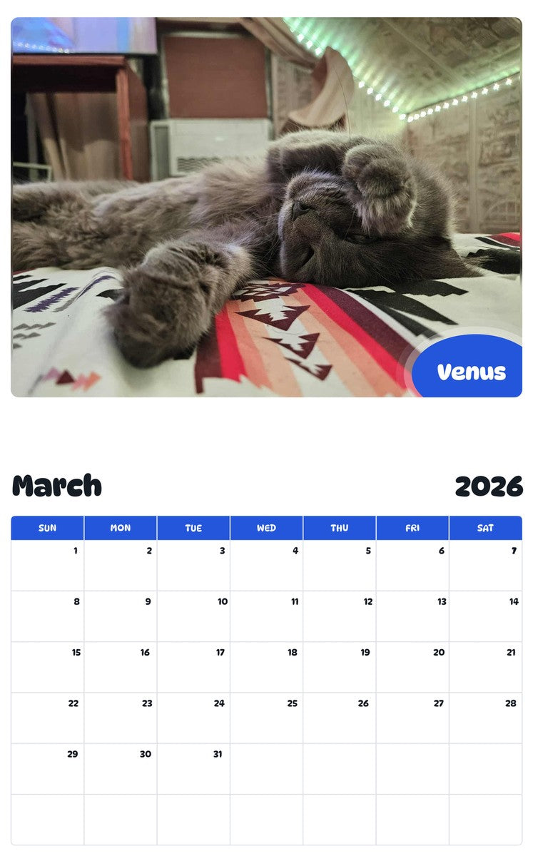 November 2025 - October 2026 Venus - Pawidols Pet Calendar