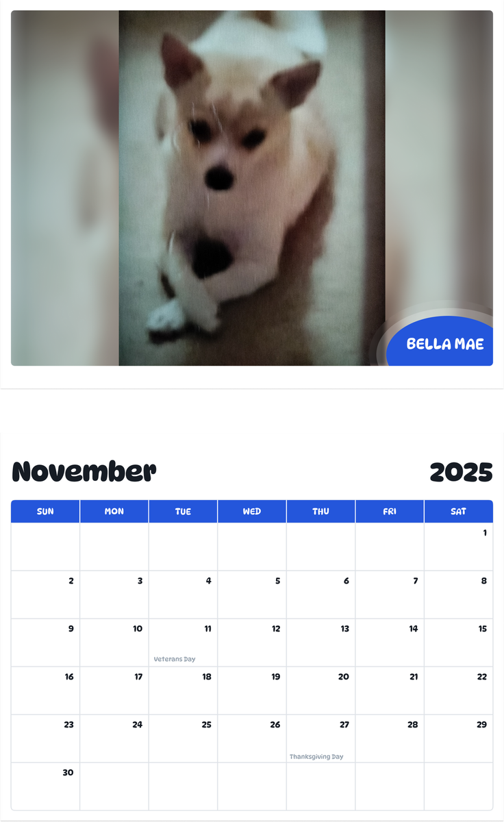 July 2025 - June 2026 Bella Mae - Pawidols Pet Calendar