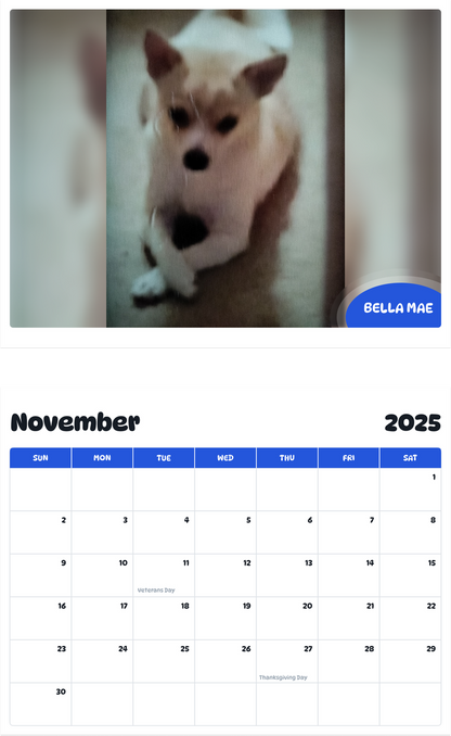 July 2025 - June 2026 Bella Mae - Pawidols Pet Calendar