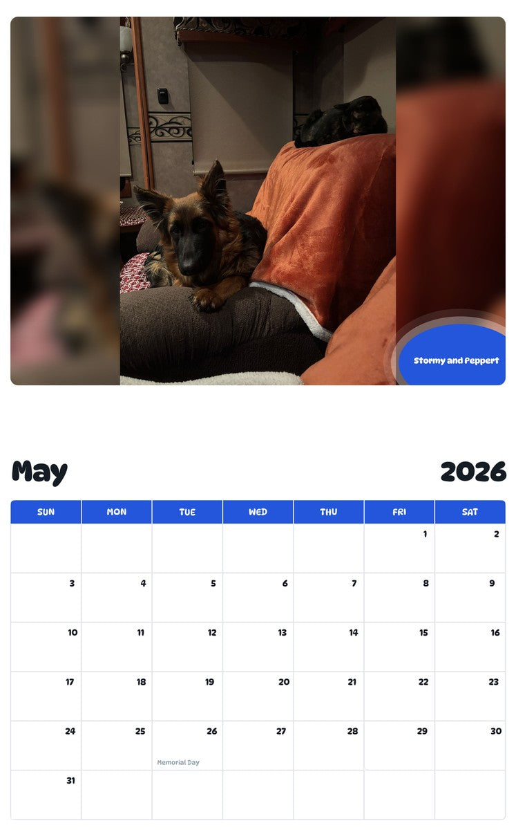 2026 - 2027 Stormy and Peppert - Pawidols Pet Calendar