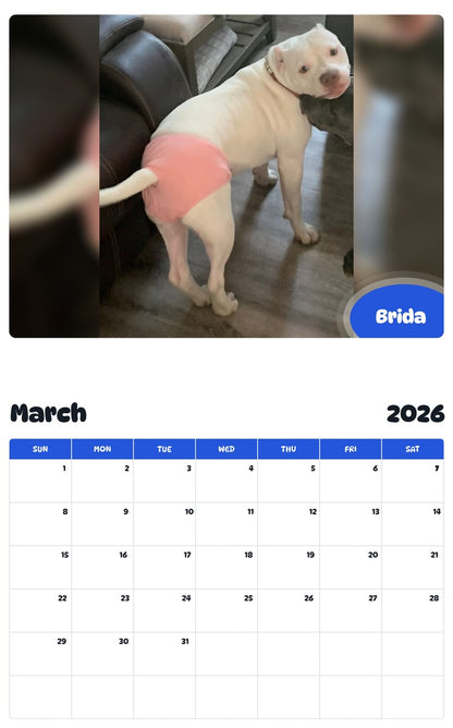 November 2025 - October 2026 Brida - Pawidols Pet Calendar