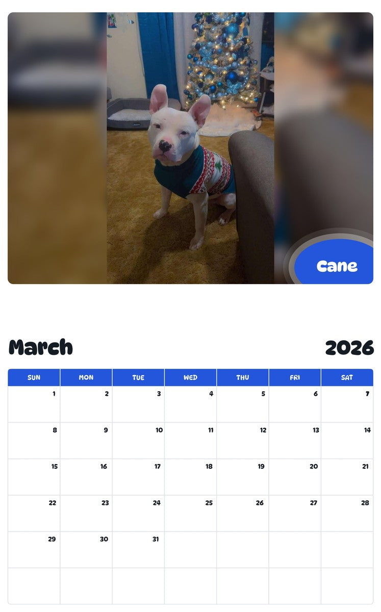 November 2025 - October 2026 Cane - Pawidols Pet Calendar