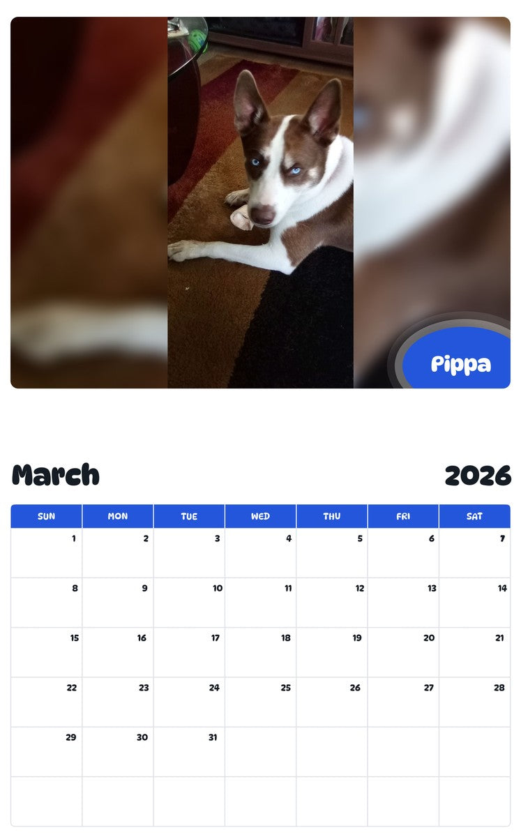 November 2025 - October 2026 Pippa - Pawidols Pet Calendar