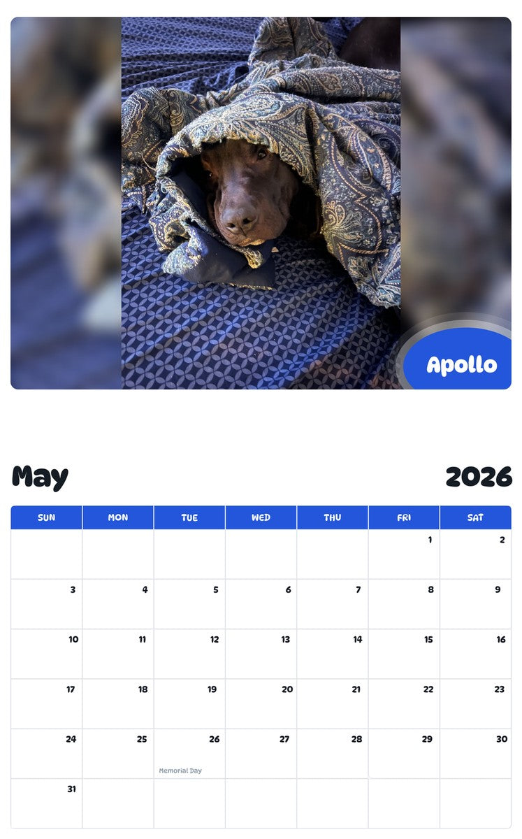 2026 - 2027 Apollo - Pawidols Pet Calendar