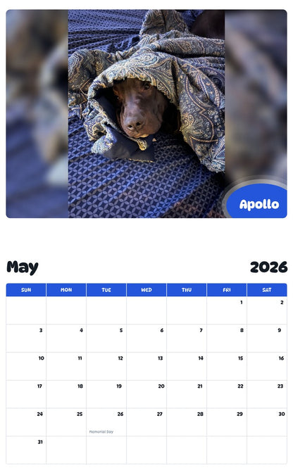 2026 - 2027 Apollo - Pawidols Pet Calendar