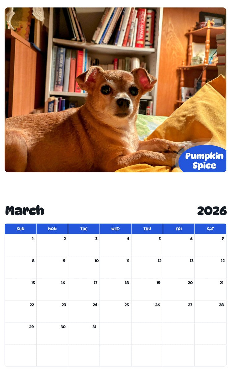 November 2025 - October 2026 Pumpkin Spice - Pawidols Pet Calendar