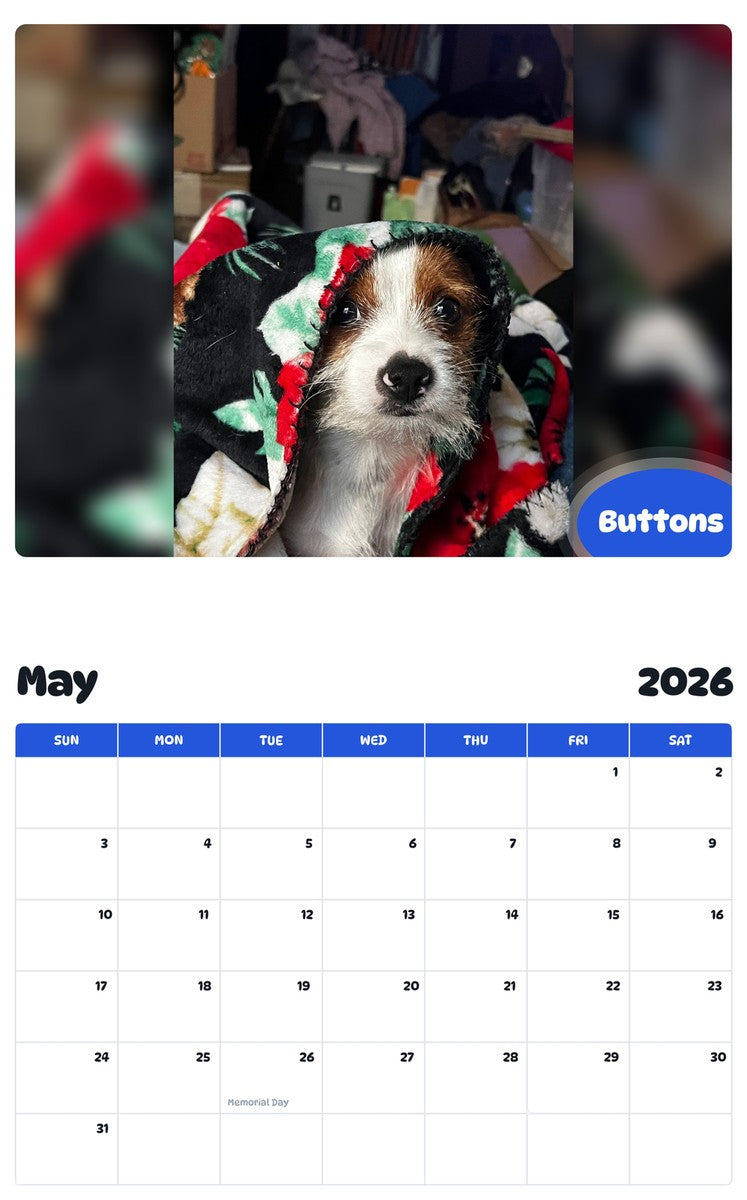 2026 - 2027 Buttons - Pawidols Pet Calendar