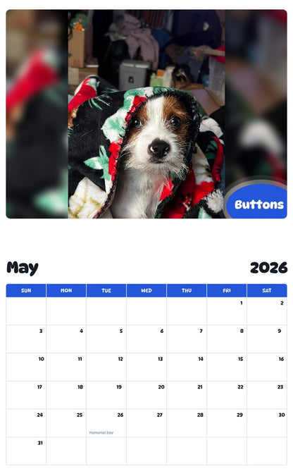 2026 - 2027 Buttons - Pawidols Pet Calendar