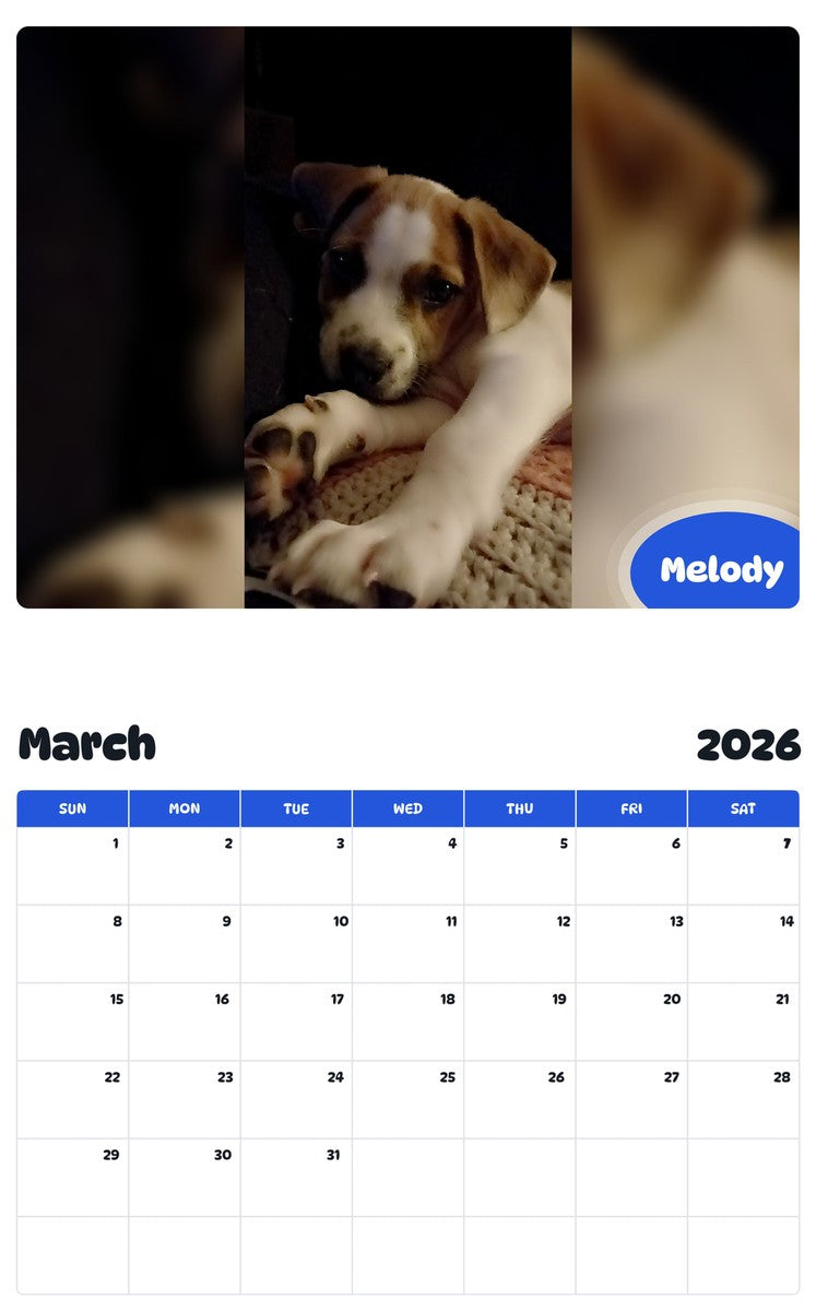 November 2025 - October 2026 Melody - Pawidols Pet Calendar