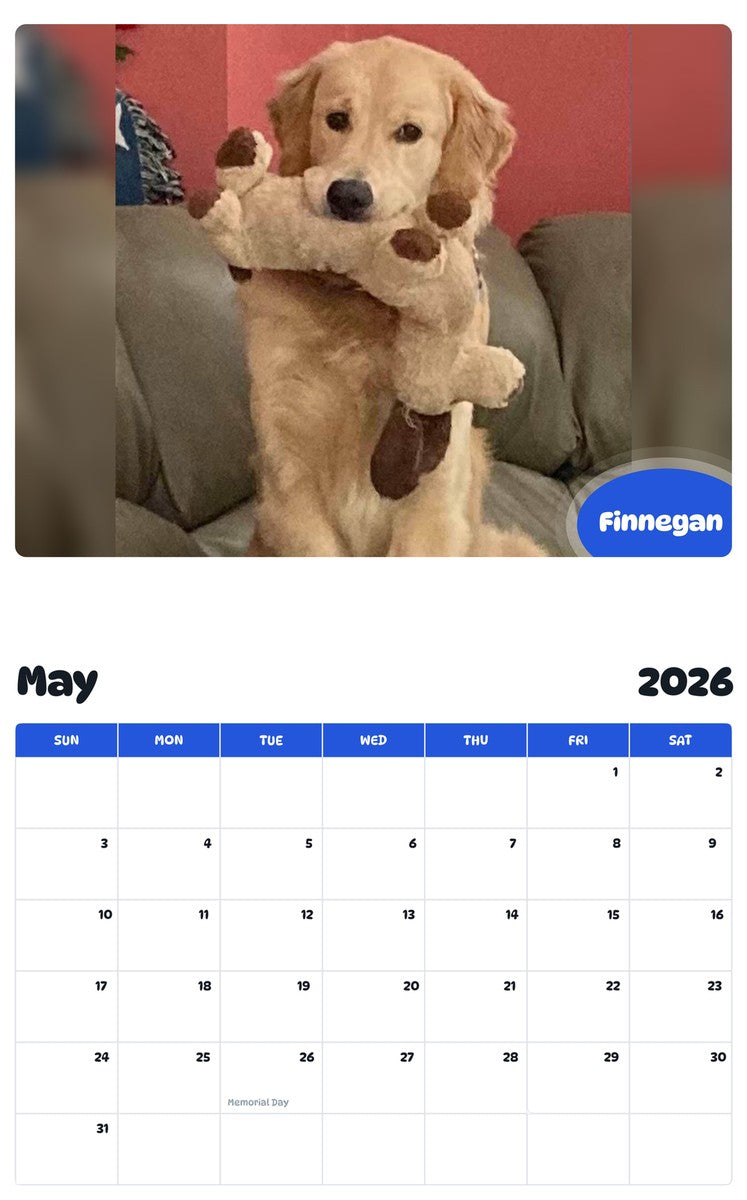 2026 - 2027 Finnegan - Pawidols Pet Calendar