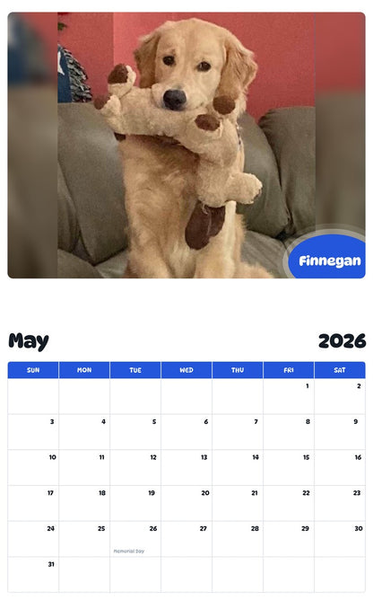2026 - 2027 Finnegan - Pawidols Pet Calendar