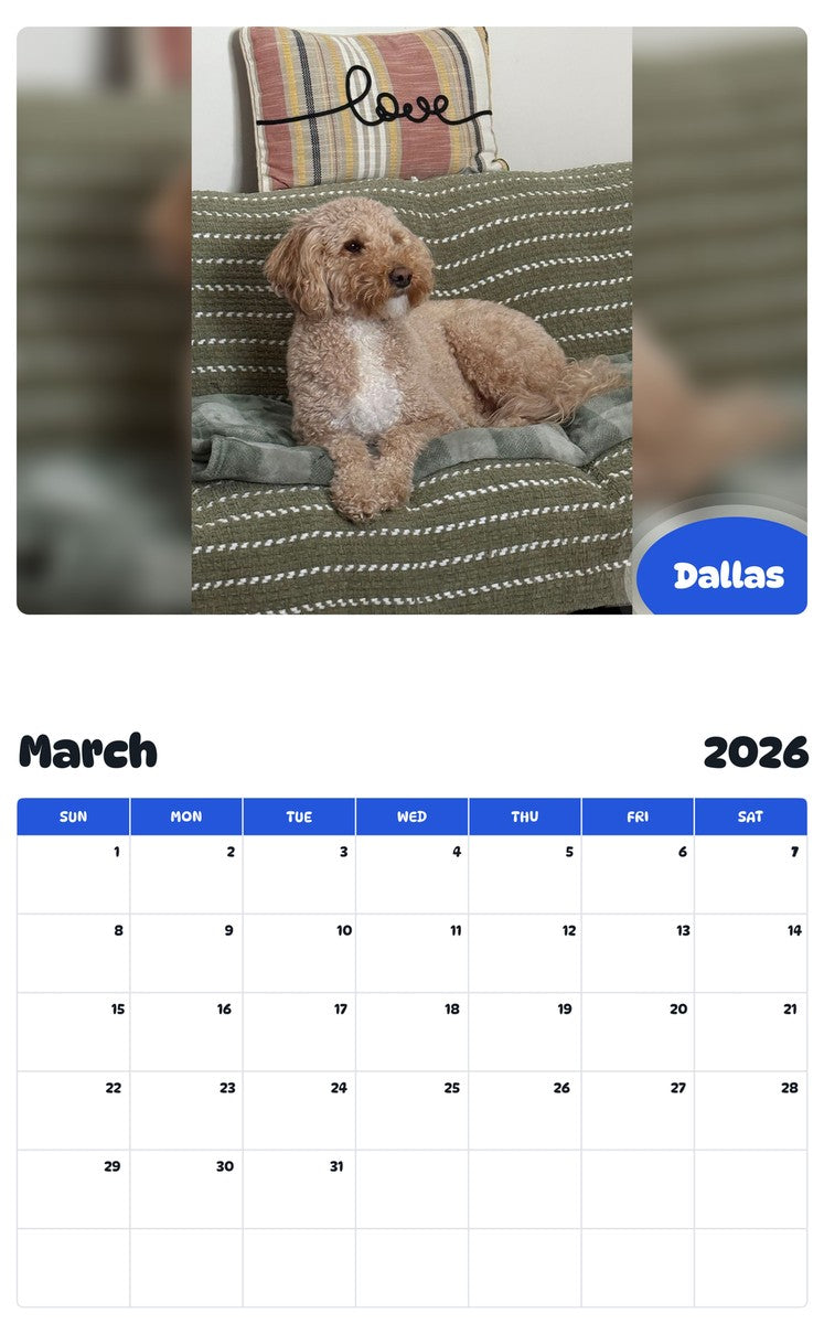 November 2025 - October 2026 Dallas - Pawidols Pet Calendar
