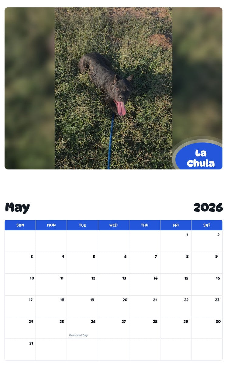 2026 - 2027 La Chula - Pawidols Pet Calendar