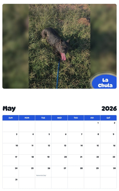 2026 - 2027 La Chula - Pawidols Pet Calendar