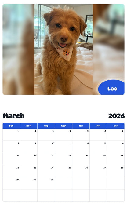 November 2025 - October 2026 Leo - Pawidols Pet Calendar