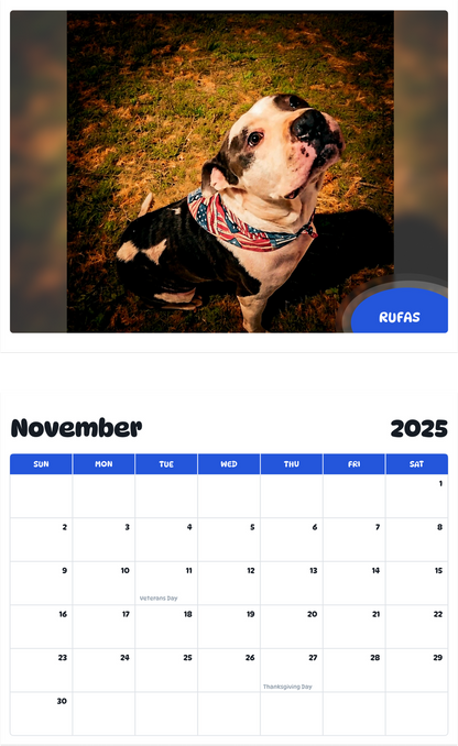 July 2025 - June 2026 Rufas - Pawidols Pet Calendar