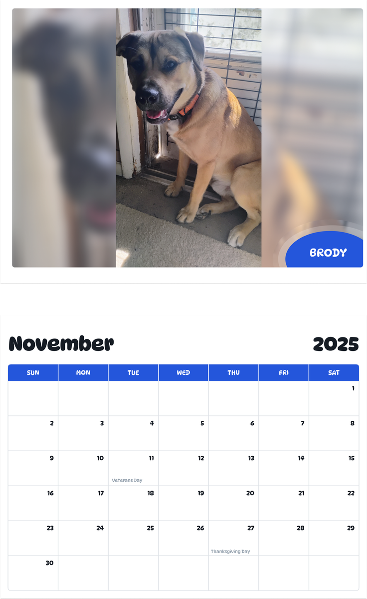 July 2025 - June 2026 Brody - Pawidols Pet Calendar