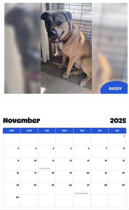 July 2025 - June 2026 Brody - Pawidols Pet Calendar