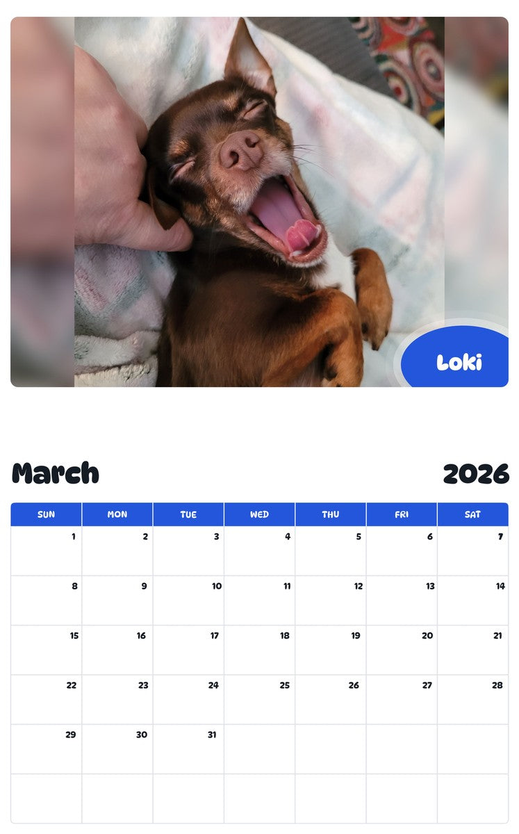 November 2025 - October 2026 Loki - Pawidols Pet Calendar