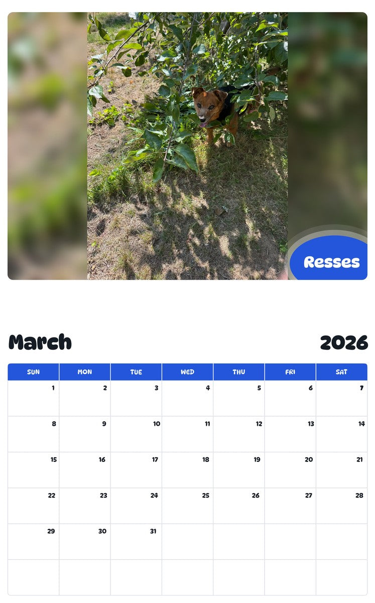 November 2025 - October 2026 Resses - Pawidols Pet Calendar