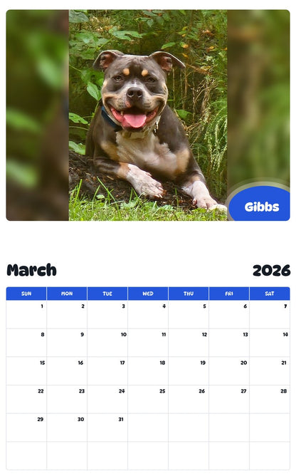 November 2025 - October 2026 Gibbs - Pawidols Pet Calendar