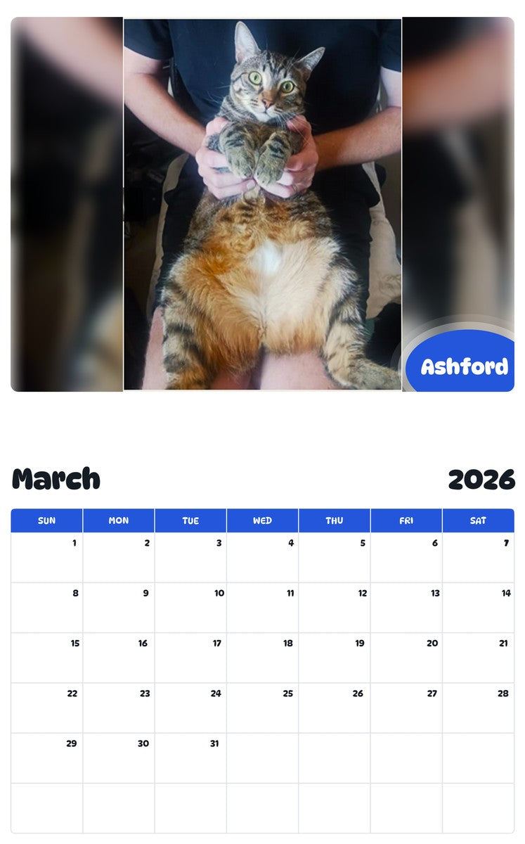 November 2025 - October 2026 Ashford - Pawidols Pet Calendar