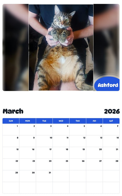 November 2025 - October 2026 Ashford - Pawidols Pet Calendar