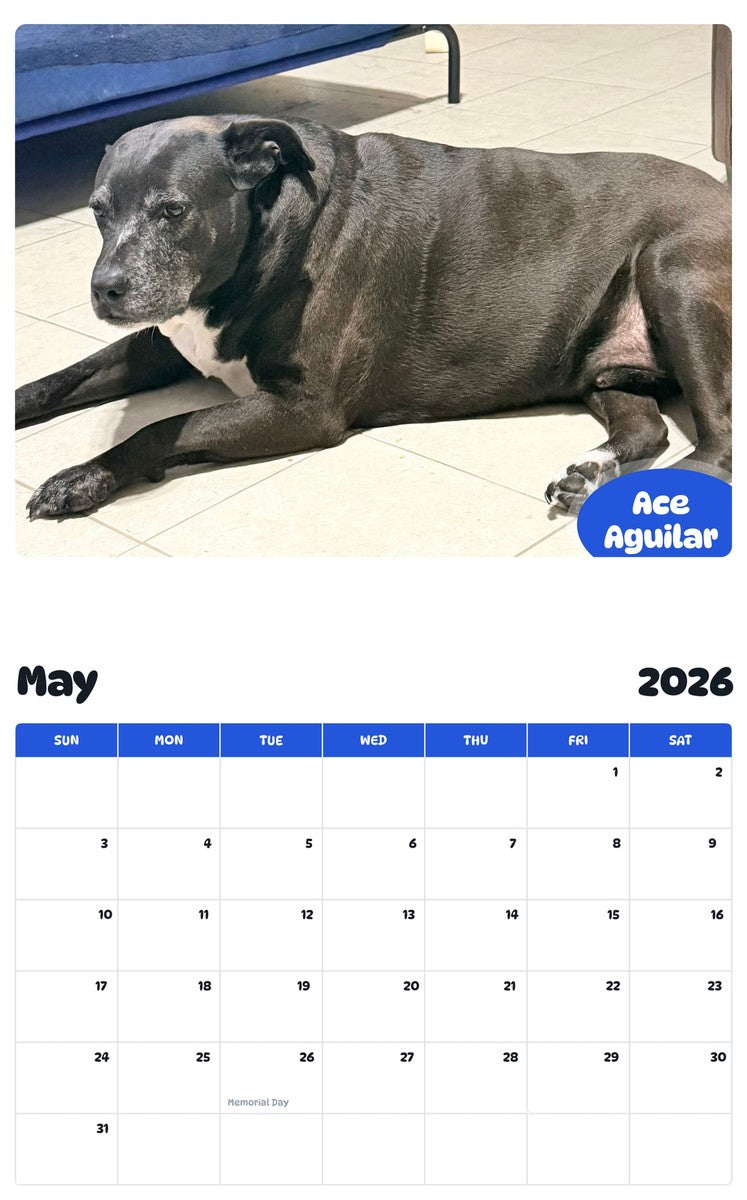 2026 - 2027 Ace Aguilar - Pawidols Pet Calendar