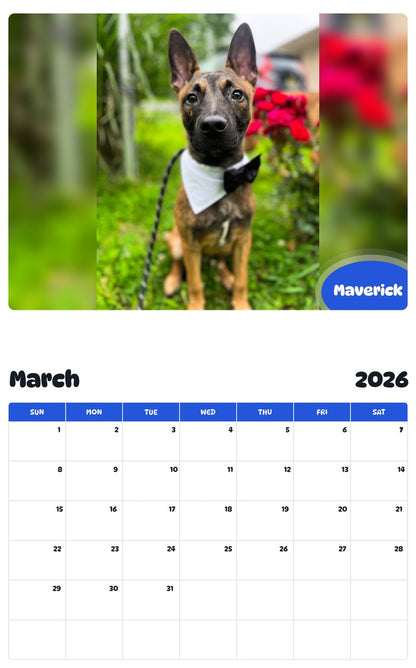 November 2025 - October 2026 Maverick - Pawidols Pet Calendar