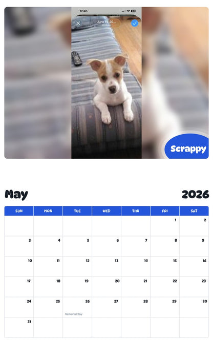 2026 - 2027 Scrappy - Pawidols Pet Calendar