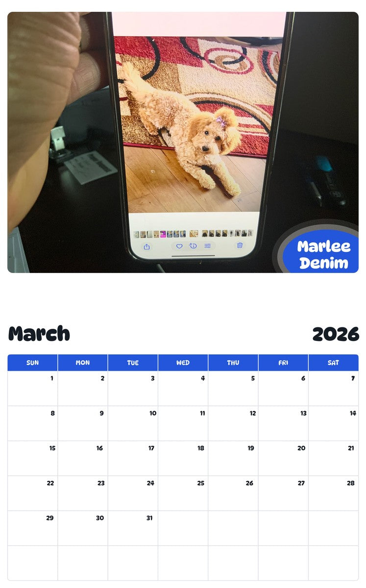 November 2025 - October 2026 Marlee  Denim - Pawidols Pet Calendar