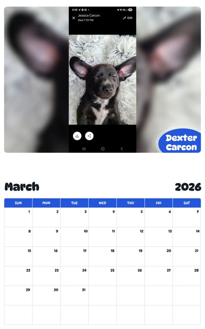 November 2025 - October 2026 Dexter Carcon - Pawidols Pet Calendar