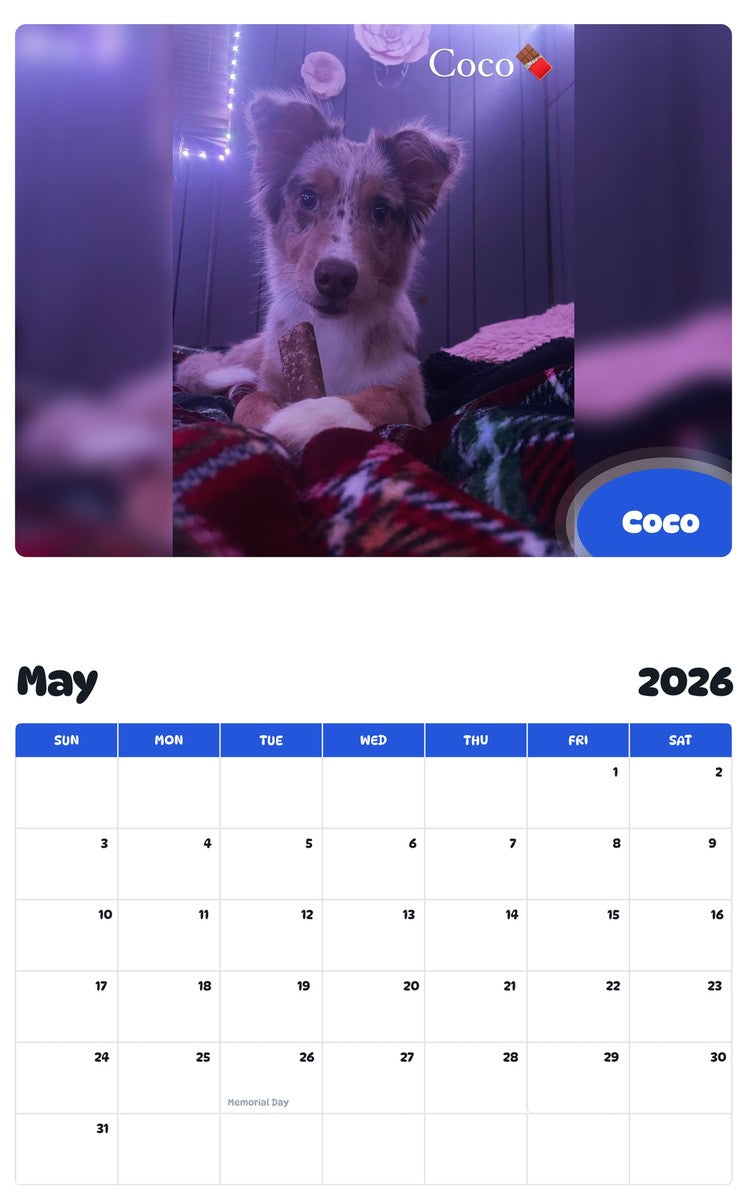 2026 - 2027 Coco - Pawidols Pet Calendar