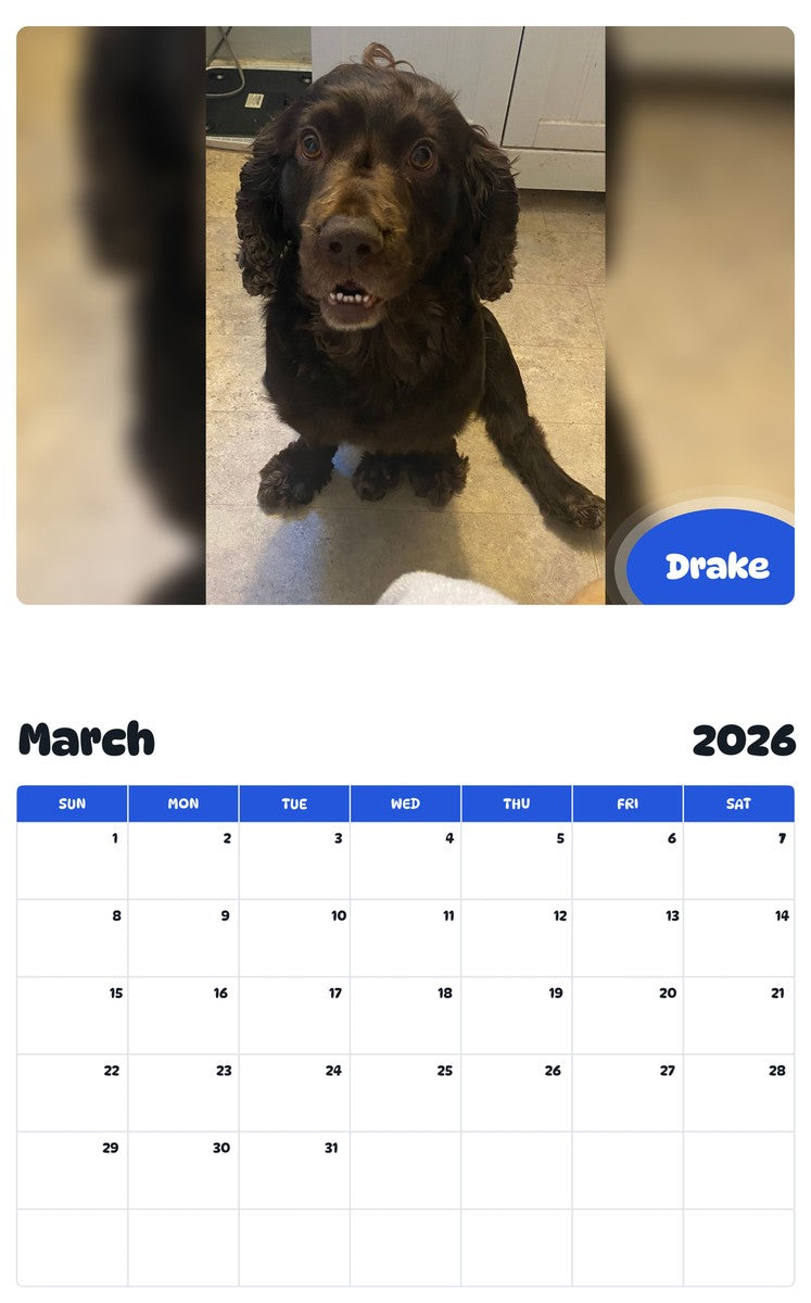 November 2025 - October 2026 Drake - Pawidols Pet Calendar