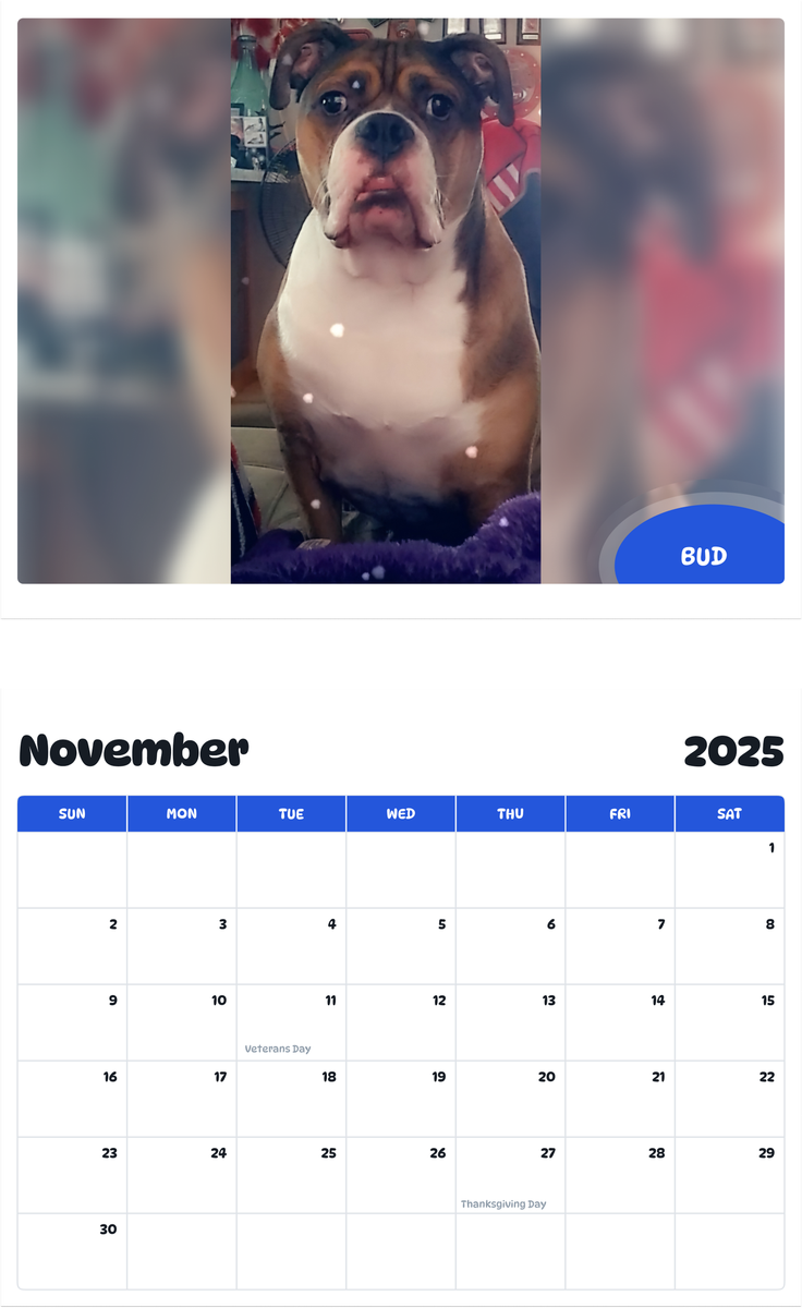 July 2025 - June 2026 Bud - Pawidols Pet Calendar