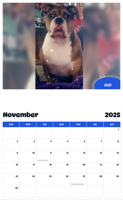July 2025 - June 2026 Bud - Pawidols Pet Calendar