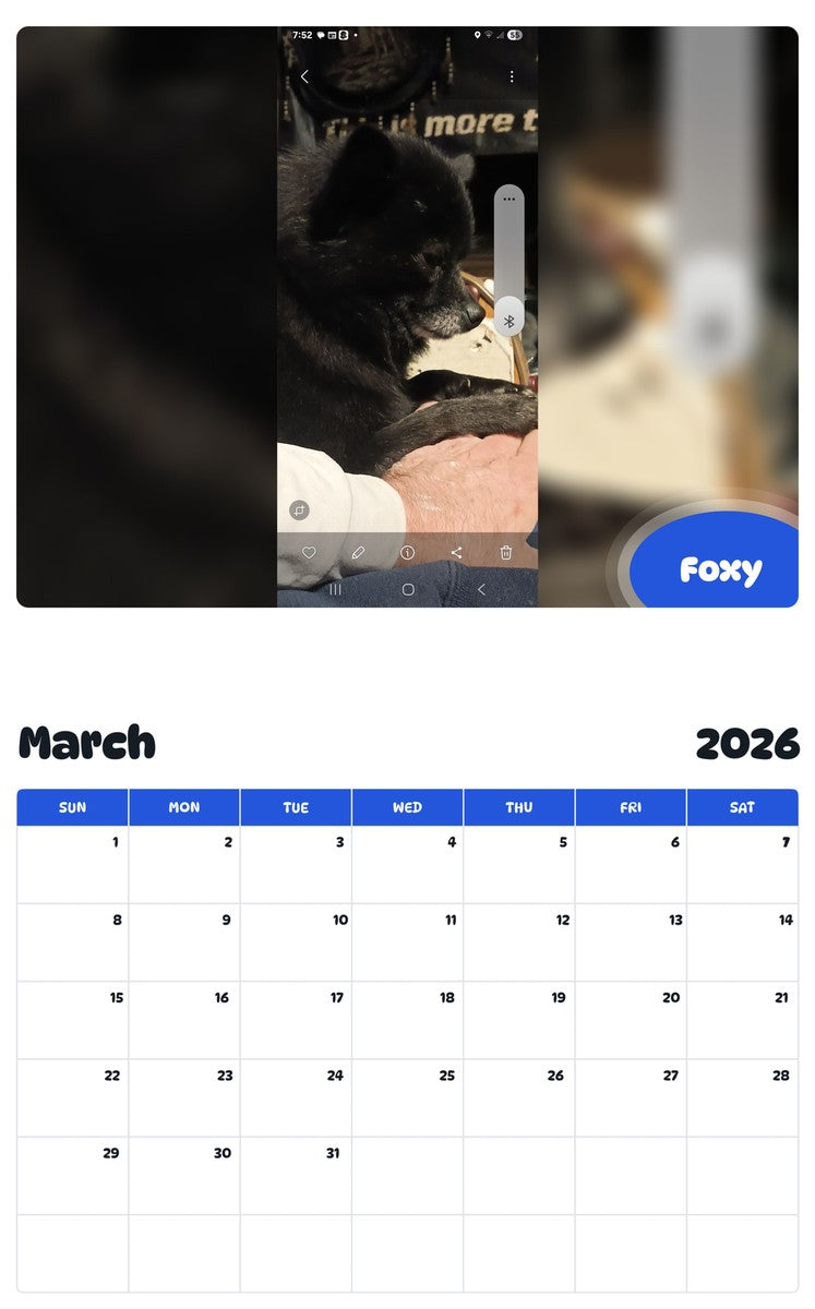 November 2025 - October 2026 Foxy - Pawidols Pet Calendar