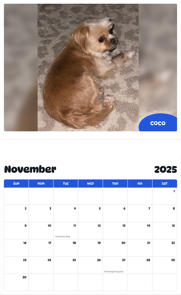 July 2025 - June 2026 Coco - Pawidols Pet Calendar