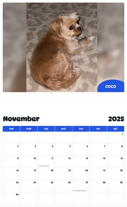 July 2025 - June 2026 Coco - Pawidols Pet Calendar