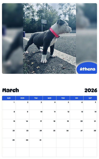 November 2025 - October 2026 Athena - Pawidols Pet Calendar