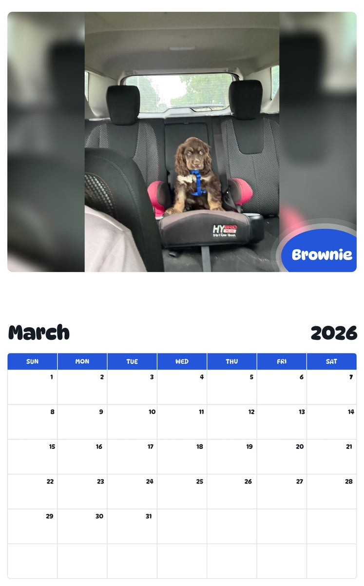 November 2025 - October 2026 Brownie - Pawidols Pet Calendar