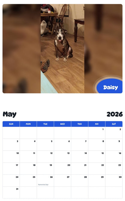 2026 - 2027 Daisy - Pawidols Pet Calendar