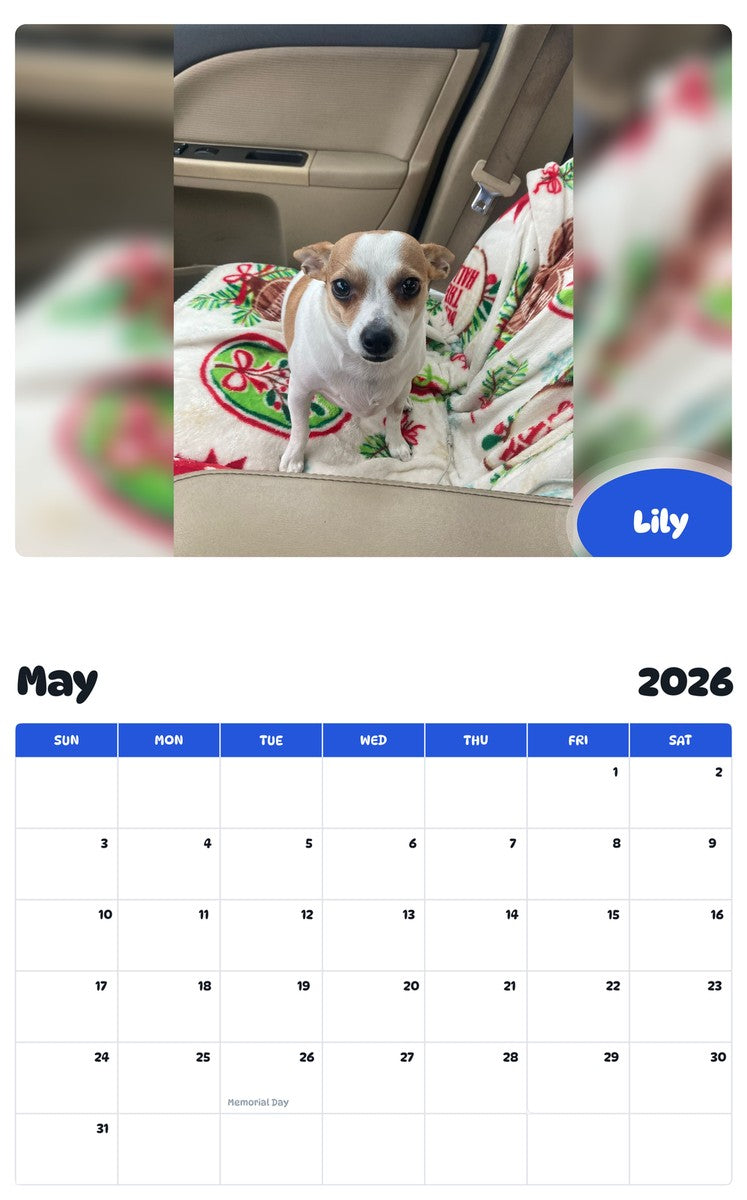 2026 - 2027 Lily - Pawidols Pet Calendar