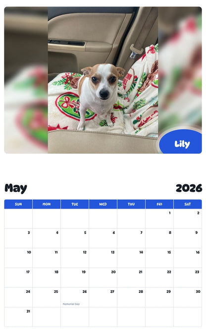 2026 - 2027 Lily - Pawidols Pet Calendar