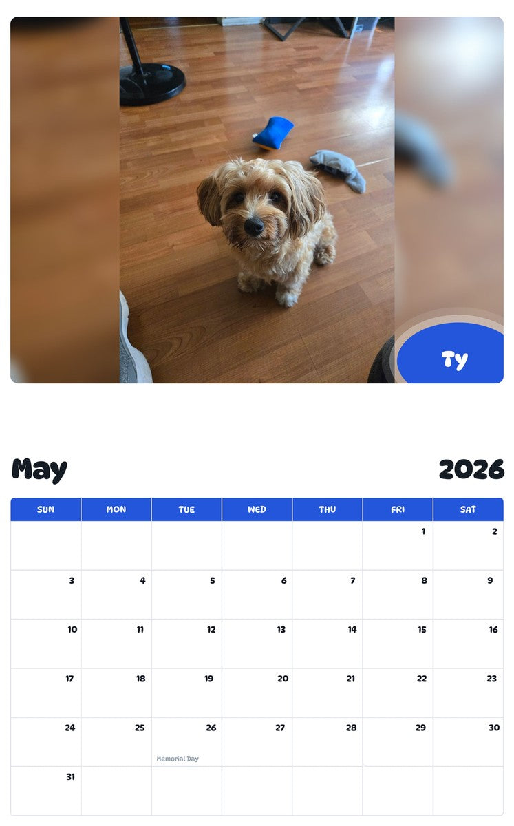 2026 - 2027 Ty - Pawidols Pet Calendar