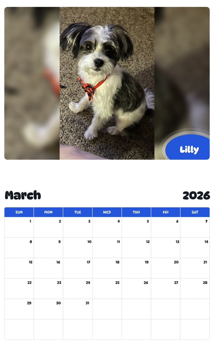 November 2025 - October 2026 Lilly - Pawidols Pet Calendar