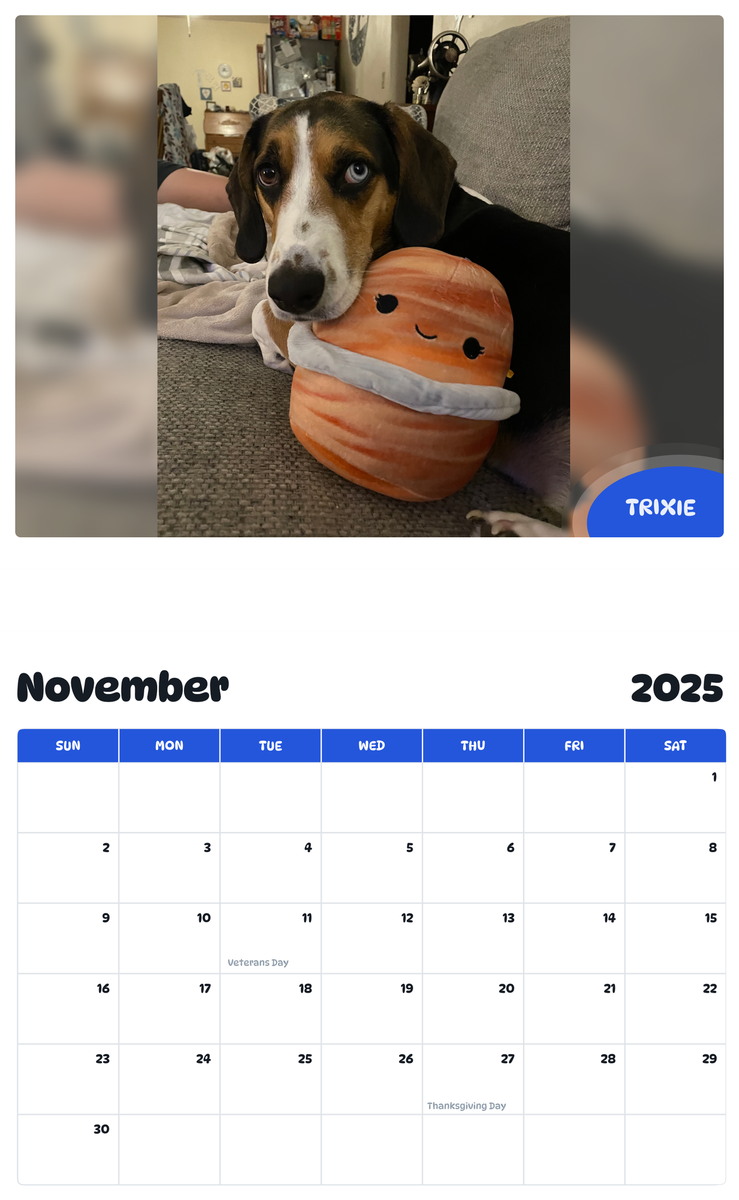 July 2025 - June 2026 Trixie - Pawidols Pet Calendar